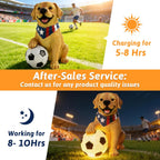 World Cup 2026 Dog Sculpture Garden Decor