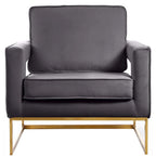 Meridian Furniture Noah Gray Velvet Accent Chair with Gold Iron Base