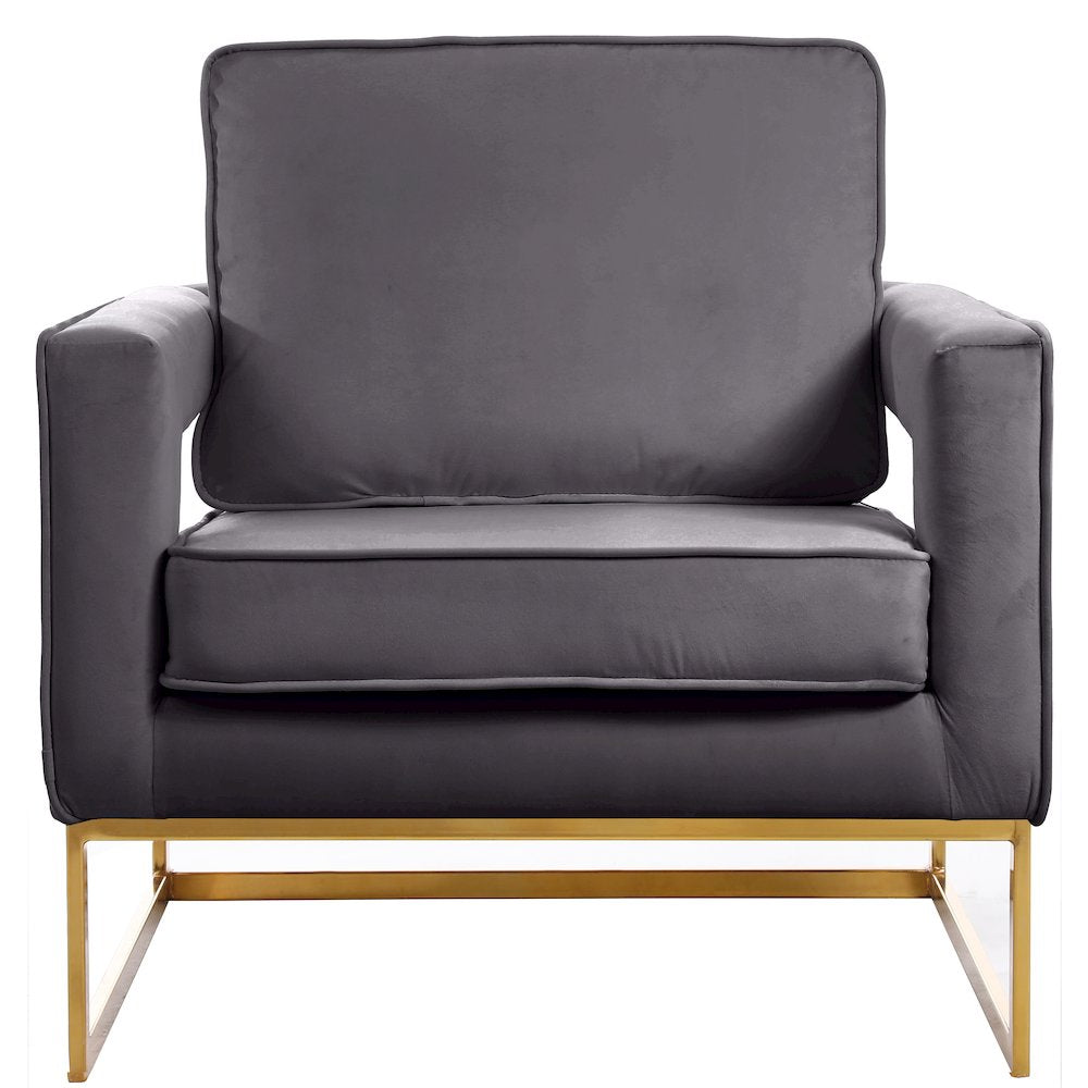 Meridian Furniture Noah Gray Velvet Accent Chair with Gold Iron Base