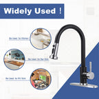 Single Level Stainless Steel Kitchen Sink Faucet with Pull Out Sprayer,for Laundry Rv Bar,Nickel Black Kitchen Mixer Tap
