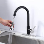 Single Level Stainless Steel Kitchen Sink Faucet with Pull Out Sprayer,for Laundry Rv Bar,Nickel Black Kitchen Mixer Tap