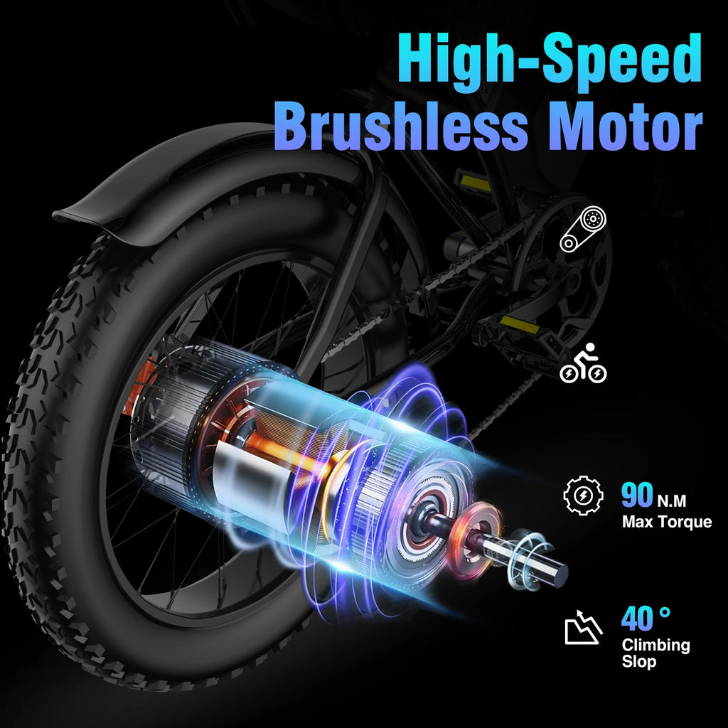 Ridstar Q20 48V 20Ah Fat Tire Electric Mountain Dirt Bike for Adults