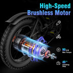 Ridstar Q20 48V 20Ah Fat Tire Electric Mountain Dirt Bike for Adults
