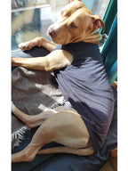 Dog Shirt Clothes For Extra Small Medium Large Extra Large Size Dogs
