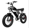 Ridstar Q20 48V 20Ah Fat Tire Electric Mountain Dirt Bike for Adults