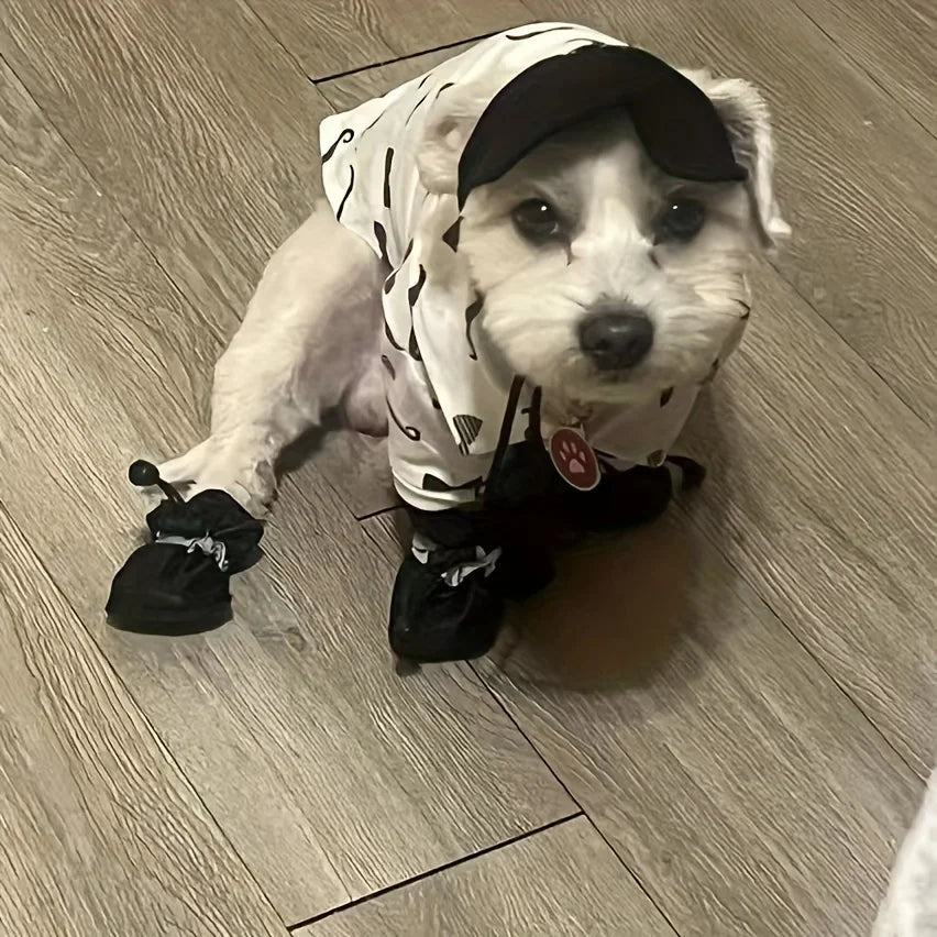Small dog wearing a Halloween costume with black shoes and a hat on a wooden floor.