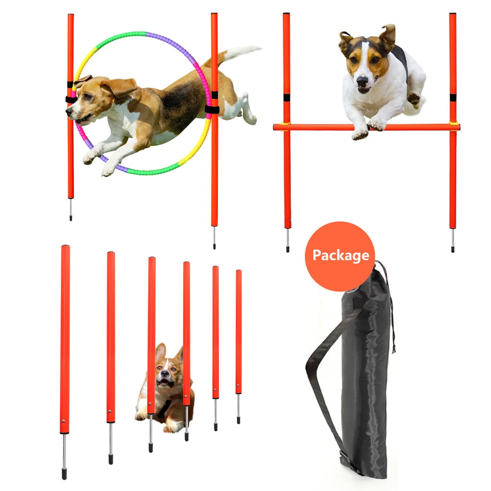 Dog Agility Training Equipment