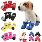 Dog boots in various colors with a dog wearing blue boots on a white background