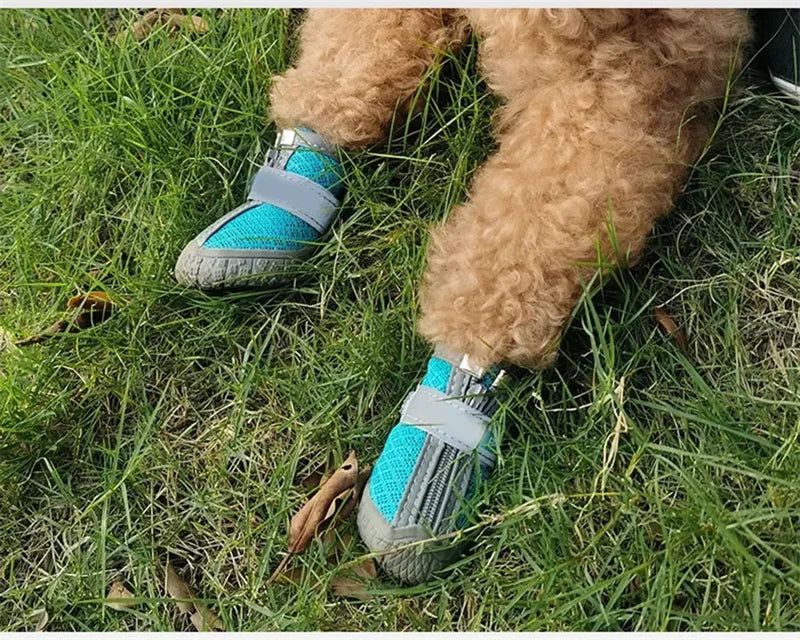 Dog wearing blue and gray protective boots on grass