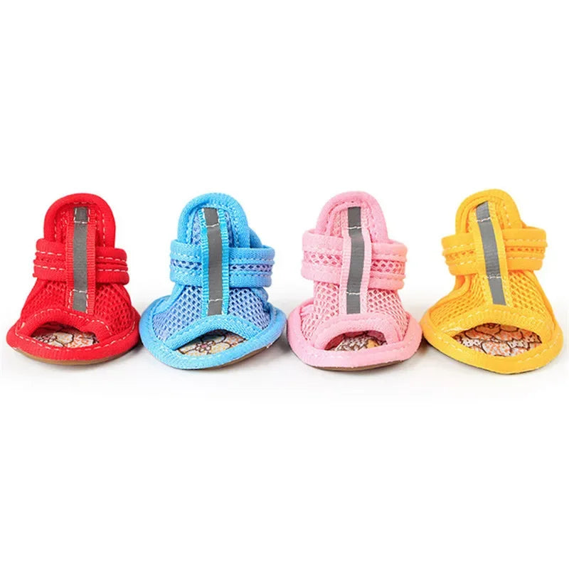 Four colorful pet shoes on a white background