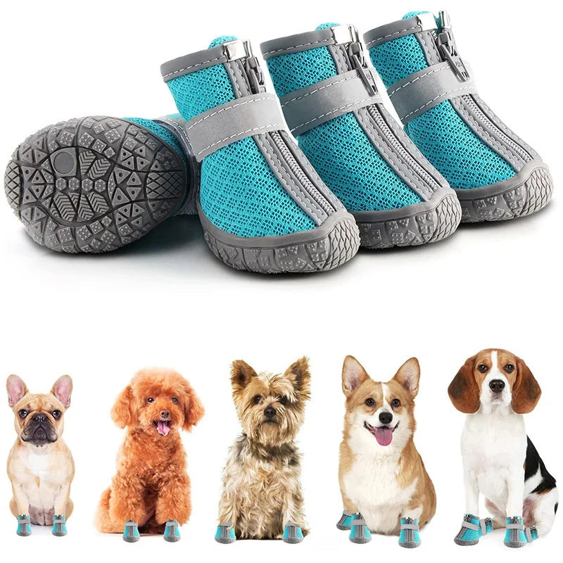 Blue and gray pet boots with a group of dogs wearing them on a white background