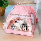Cat Broken Flower Tent
