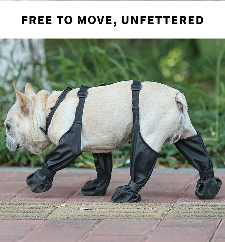 Dog wearing black protective leg wraps on a paved surface with greenery in the background.