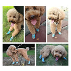 Collage of a dog wearing blue shoes in various outdoor settings.