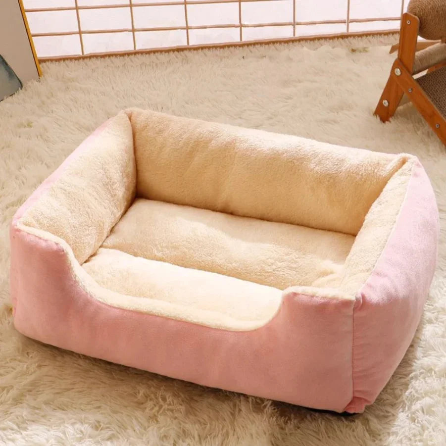 Bed for Cats Pet Products Cushions Kitten Goods Accessories Dog All Houses Supplies