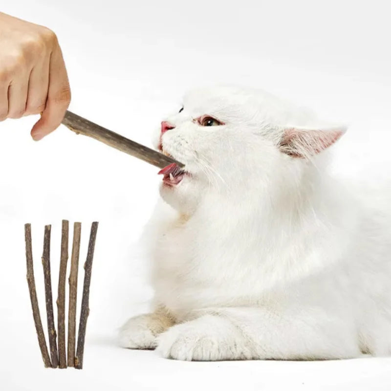 Kitten Supplies Natural Herbal Cat Chews Natural Grass Chew Sticks for Cats Chat Accessories Cat Oral Cleaning Stick Catnip Toys