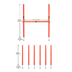 Dog Agility Training Equipment