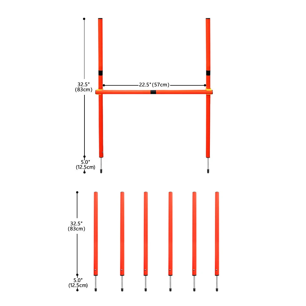 Dog Agility Training Equipment
