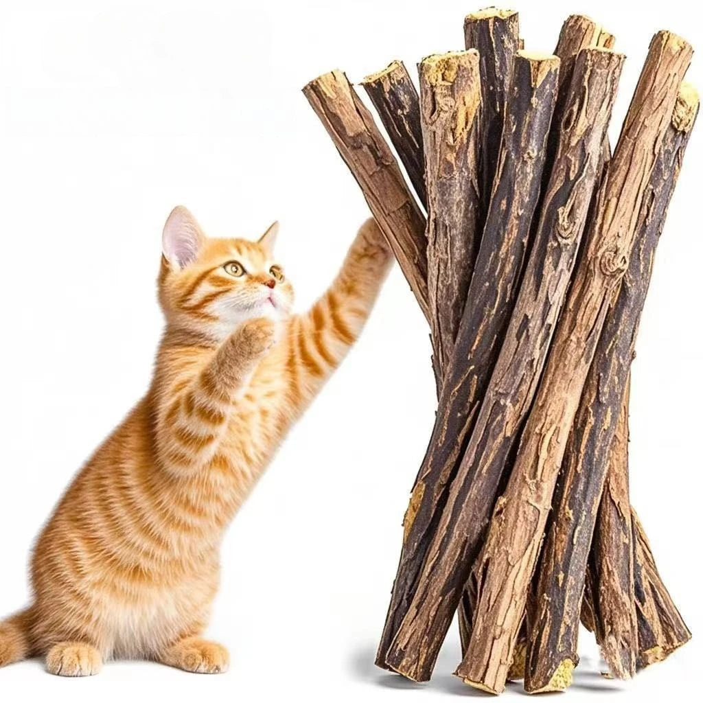Kitten Supplies Natural Herbal Cat Chews Natural Grass Chew Sticks for Cats Chat Accessories Cat Oral Cleaning Stick Catnip Toys