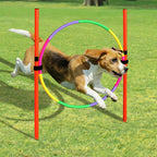 Dog Agility Training Equipment