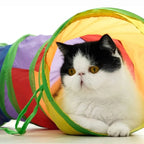 Foldable Pet Tunnel