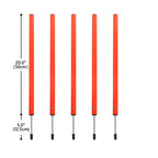 Dog Agility Training Equipment