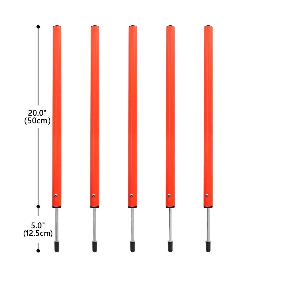 Dog Agility Training Equipment