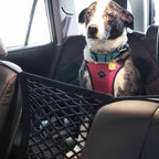 Pet Rear Seat Car Fence