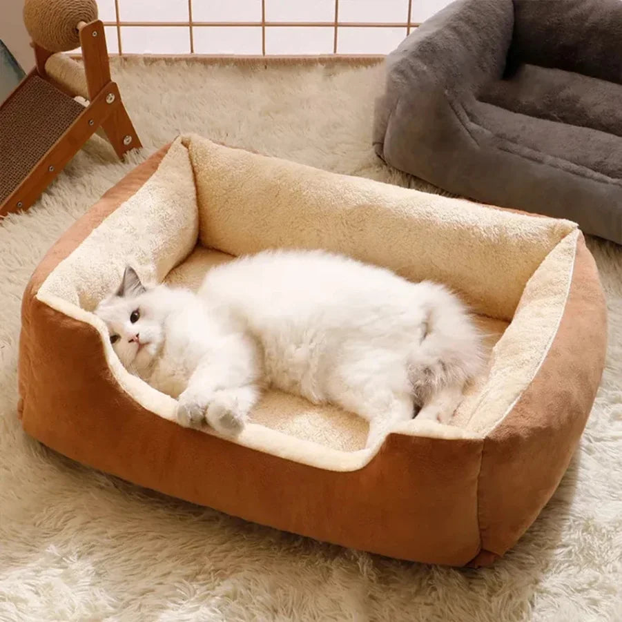 Bed for Cats Pet Products Cushions Kitten Goods Accessories Dog All Houses Supplies