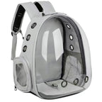 Transparent Portable Carrier Backpack