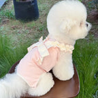 Teddy Four-Legged Neuter Suit Pet Autumn Vest Puppy Belly Protection Sleepwear Solid Colour Dog Clothes