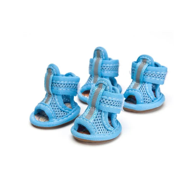 Set of three blue pet sandals with straps on a white background