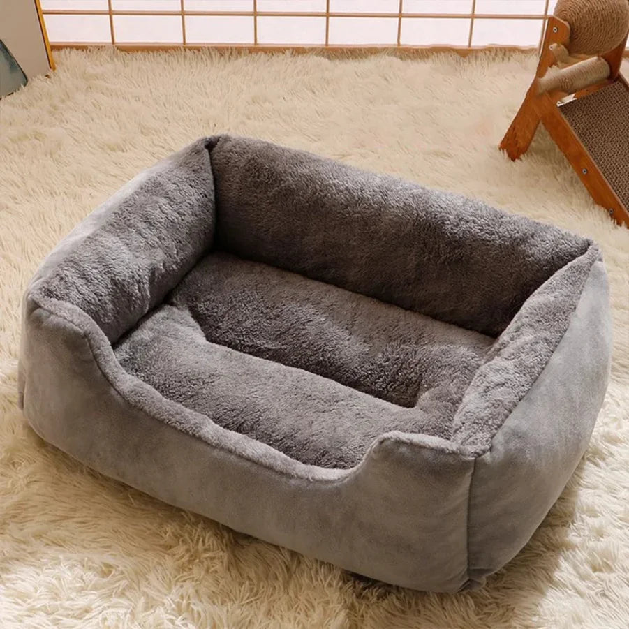 Bed for Cats Pet Products Cushions Kitten Goods Accessories Dog All Houses Supplies
