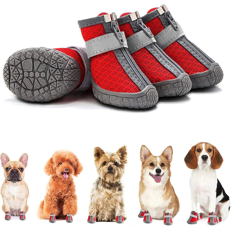 Red and gray pet boots with five different dogs wearing them on a white background