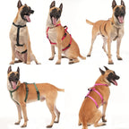No-Pull Dog Harness for Large Dogs Outdoor Training Pet Supplies Escaspe-Proof Vest Dog Harness Collar Nylon Big Dog Chest Strap