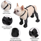 Dog wearing a black protective harness with various features highlighted.