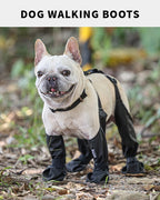 Dog wearing black walking boots outdoors on a natural background