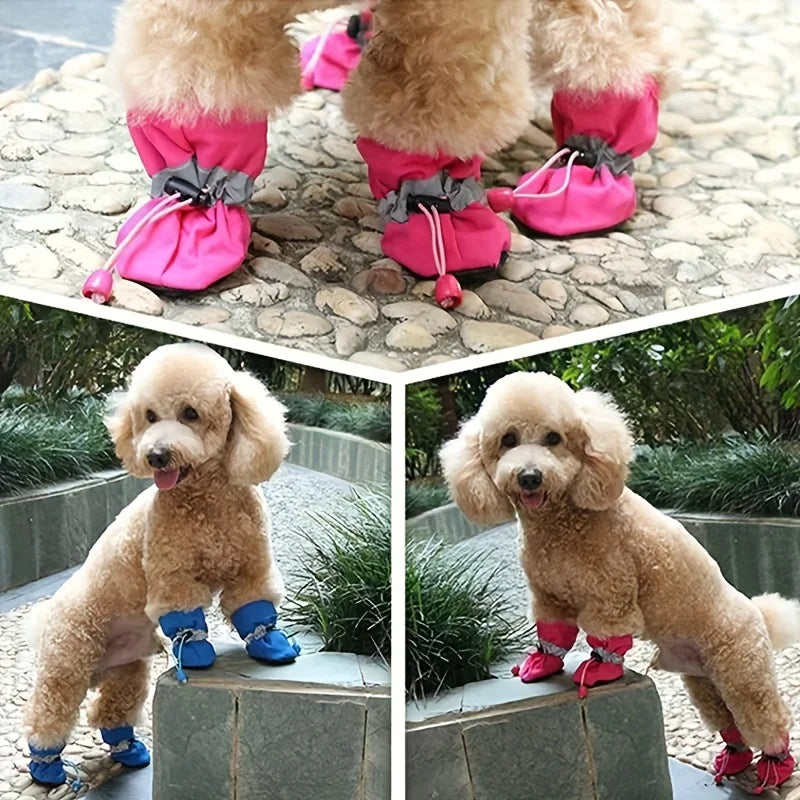 Collage of a dog wearing colorful booties in different settings.
