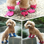 Collage of a dog wearing colorful booties in different settings.