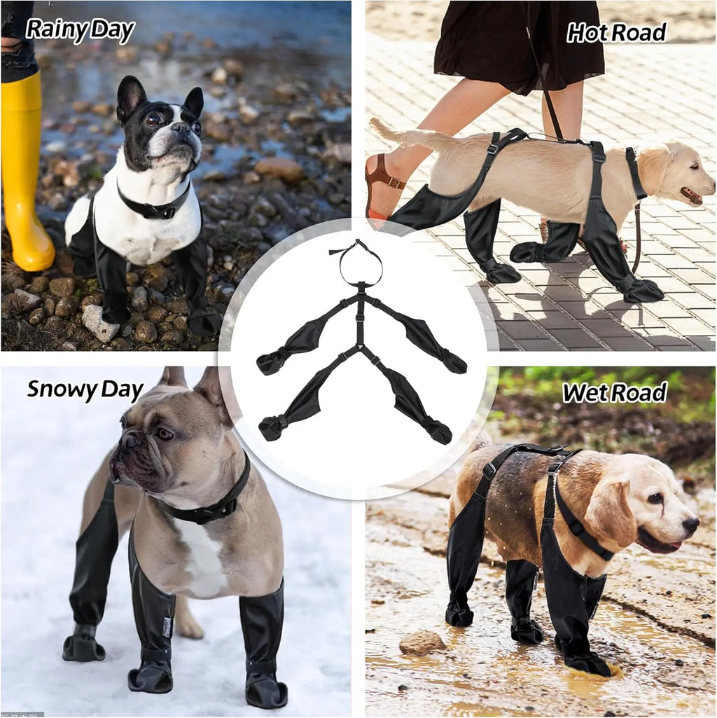 Dog boots for various weather conditions with dogs in different environments.