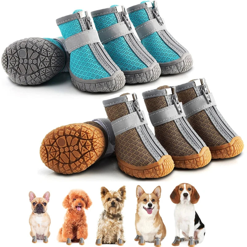 Set of dog boots with different color options on a white background, featuring small dog illustrations.