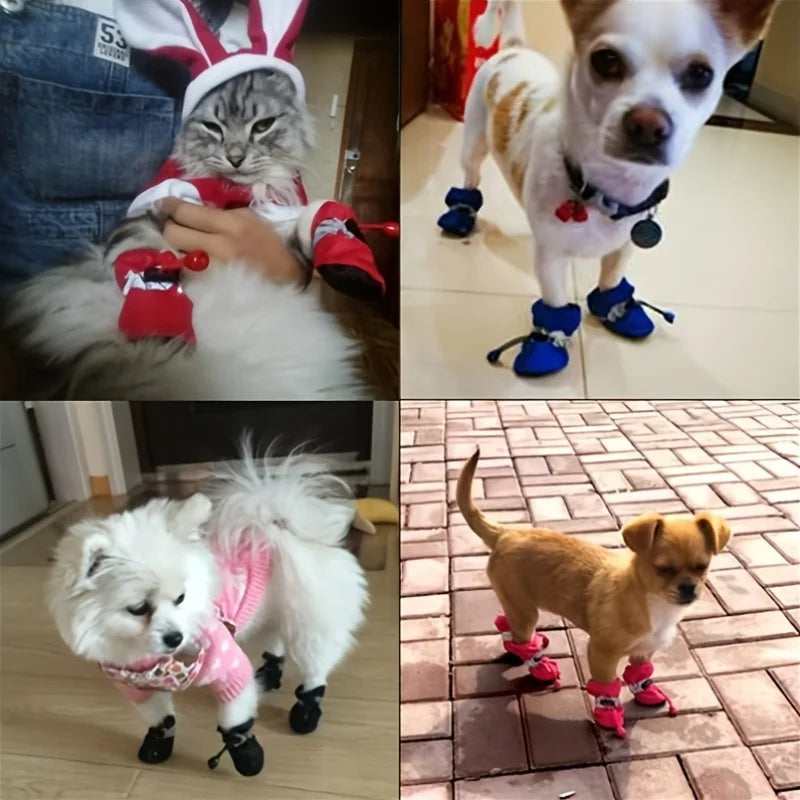 Four images of pets wearing various outfits and accessories.