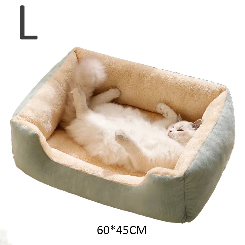 Bed for Cats Pet Products Cushions Kitten Goods Accessories Dog All Houses Supplies