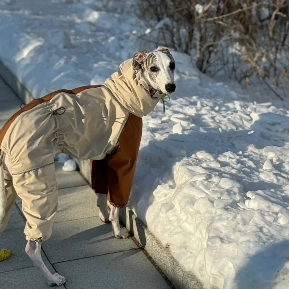 Dog Clothes in Winter Snow Weather Thicken Plush 4-legged Khaki Jacket Windproof Waterproof Warm Coat for Italy Greyhound