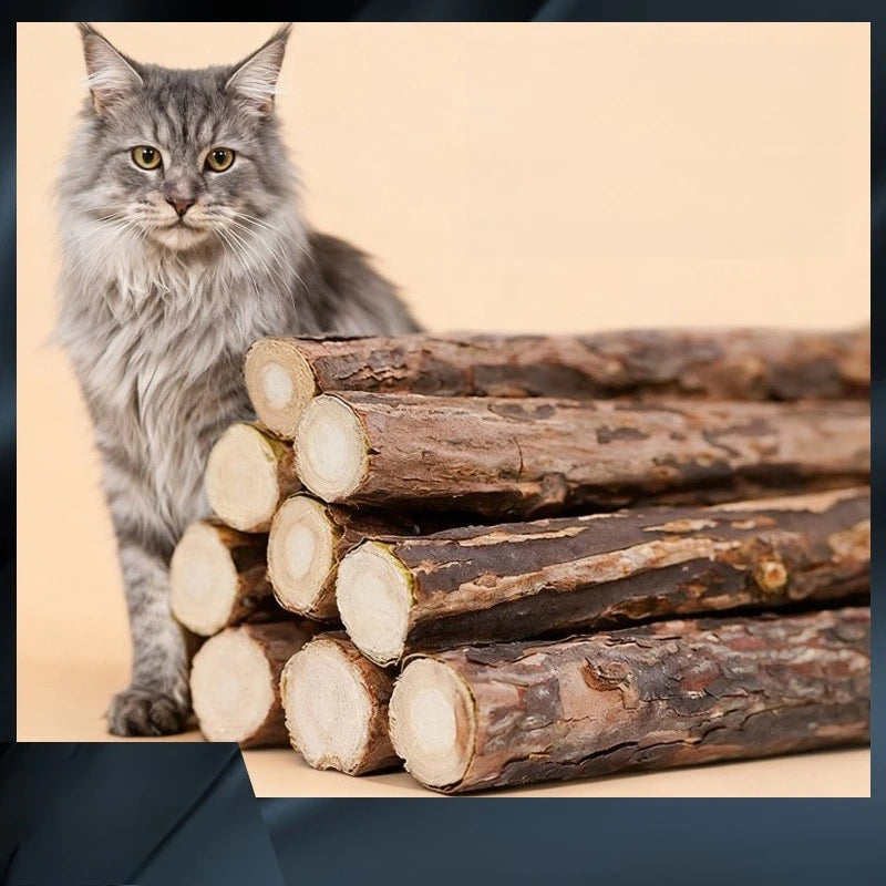 Kitten Supplies Natural Herbal Cat Chews Natural Grass Chew Sticks for Cats Chat Accessories Cat Oral Cleaning Stick Catnip Toys