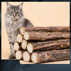 Kitten Supplies Natural Herbal Cat Chews Natural Grass Chew Sticks for Cats Chat Accessories Cat Oral Cleaning Stick Catnip Toys
