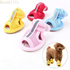 Colorful pet shoes with a small dog wearing yellow shoes inset, branded 'Moonbiffy'.