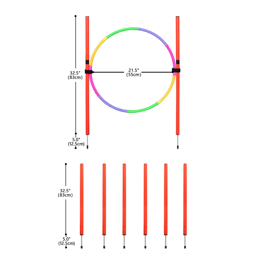 Dog Agility Training Equipment