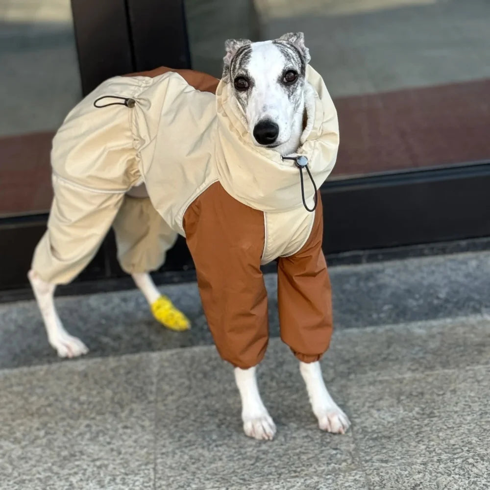 Dog Clothes in Winter Snow Weather Thicken Plush 4-legged Khaki Jacket Windproof Waterproof Warm Coat for Italy Greyhound