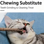 Kitten Supplies Natural Herbal Cat Chews Natural Grass Chew Sticks for Cats Chat Accessories Cat Oral Cleaning Stick Catnip Toys